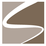 Stucco Service