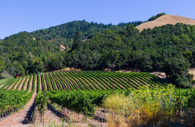 Local Residential Stucco Service in Santa Rosa, CA